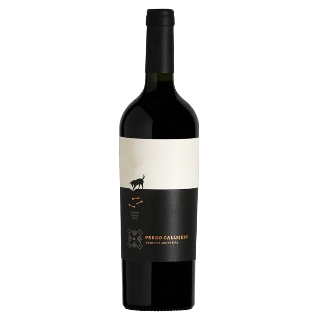 Vino perro callejero