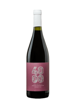 Budeguer 4000 Estate Pinot Noir - Tropilla Vinos