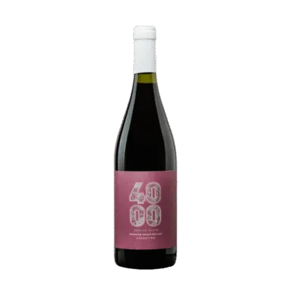 Budeguer 4000 Estate Pinot Noir - Tropilla Vinos