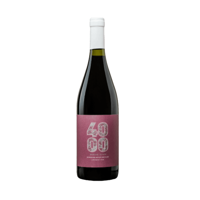 Budeguer 4000 Estate Pinot Noir - Tropilla Vinos