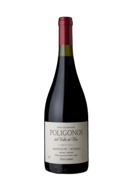 Poligonos Gualtallary Cabernet Franc - Tropilla Vinos