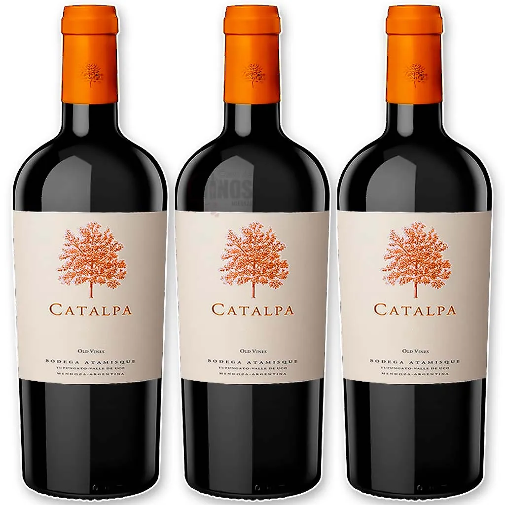 Catalpa Cabernet Franc x3