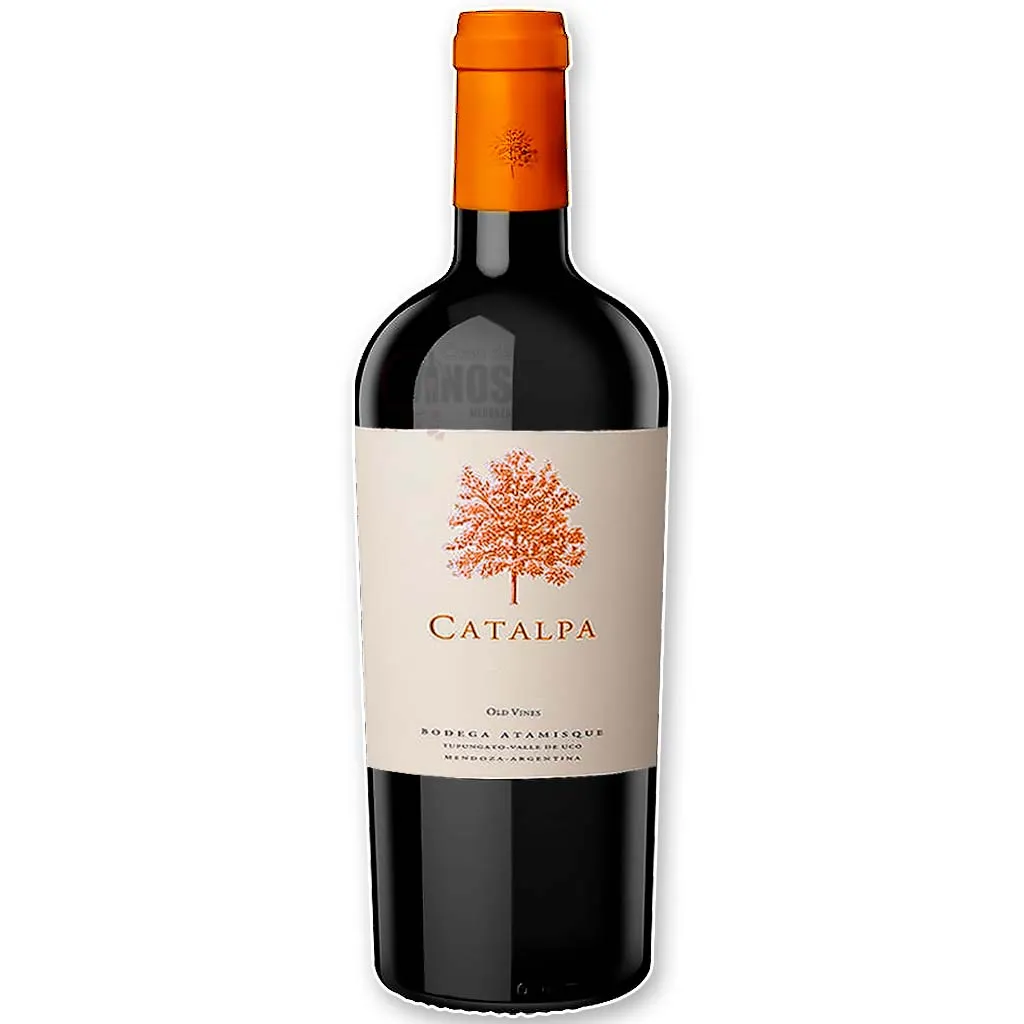 Catalpa Cabernet Franc x3 - Imagen 2