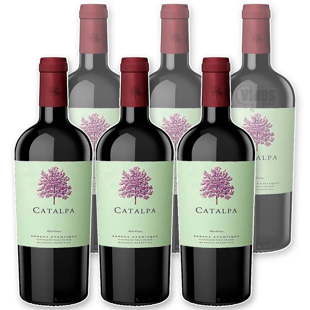 Catalpa Cabernet Sauvignon x6