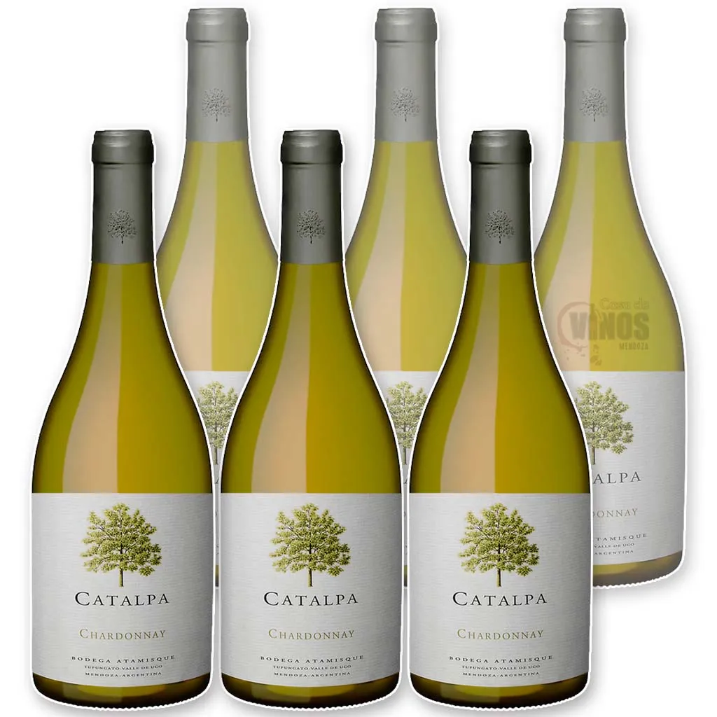 Catalpa Chardonnay x6