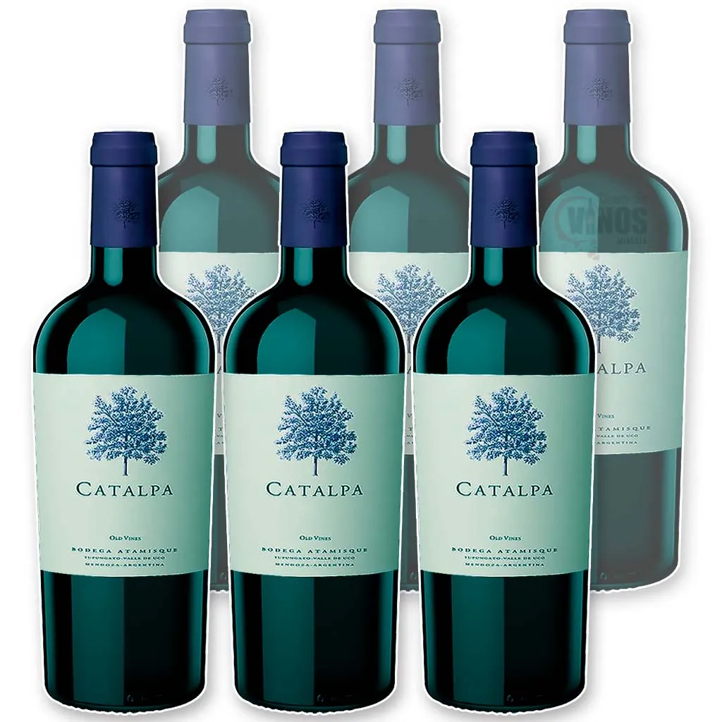 Catalpa Merlot x6