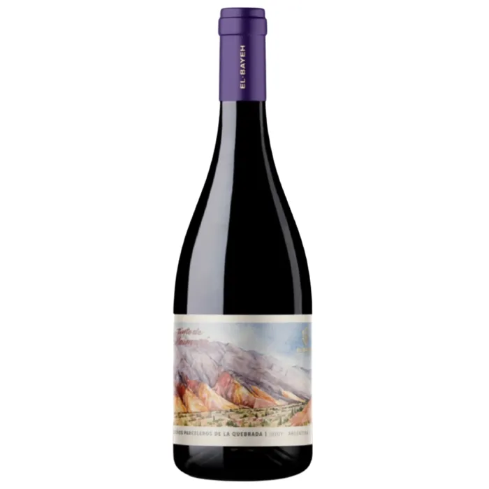 El Bayeh Pequeños Parceleros de la Quebrada - Tinto de Maimará
