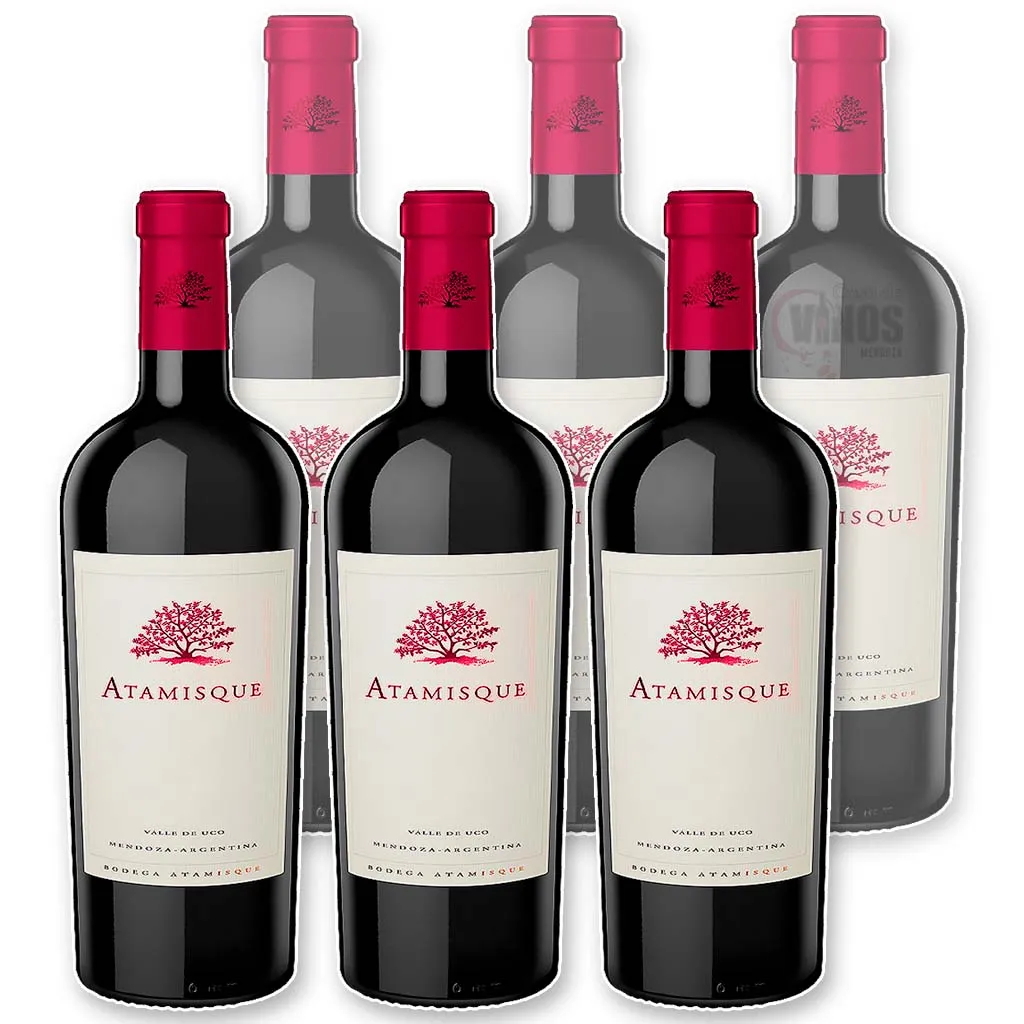 Atamisque Cabernet Sauvignon x6
