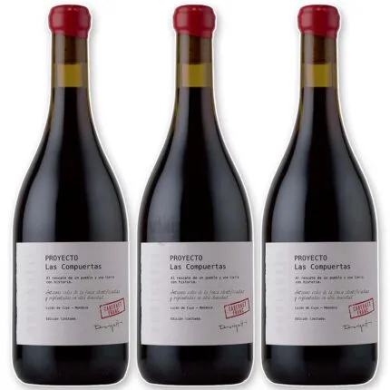 Durigutti Proyecto Las Compuertas - Cabernet Franc x3
