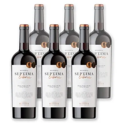 Séptima Obra - Cabernet Franc x6