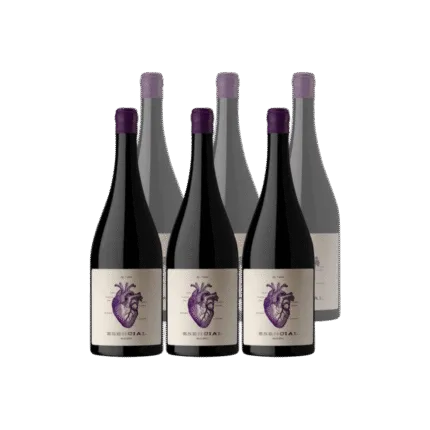 Viña Alta Esencial Malbec x6