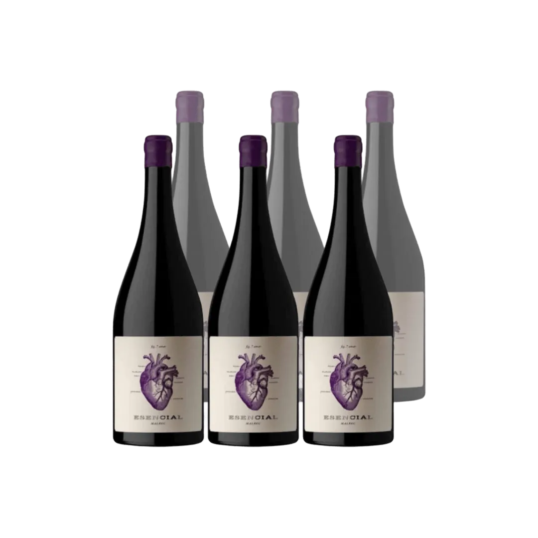 Viña Alta Esencial Malbec x6