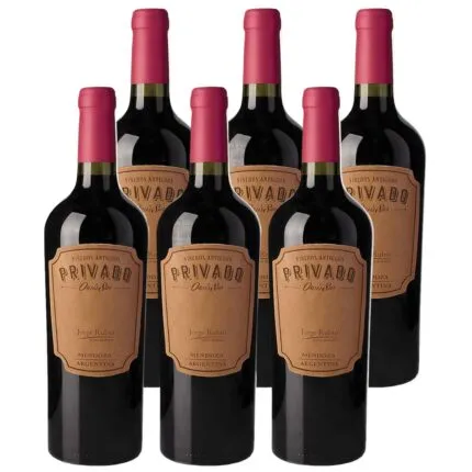 Jorge Rubio Privado Oasis Sur Malbec x6