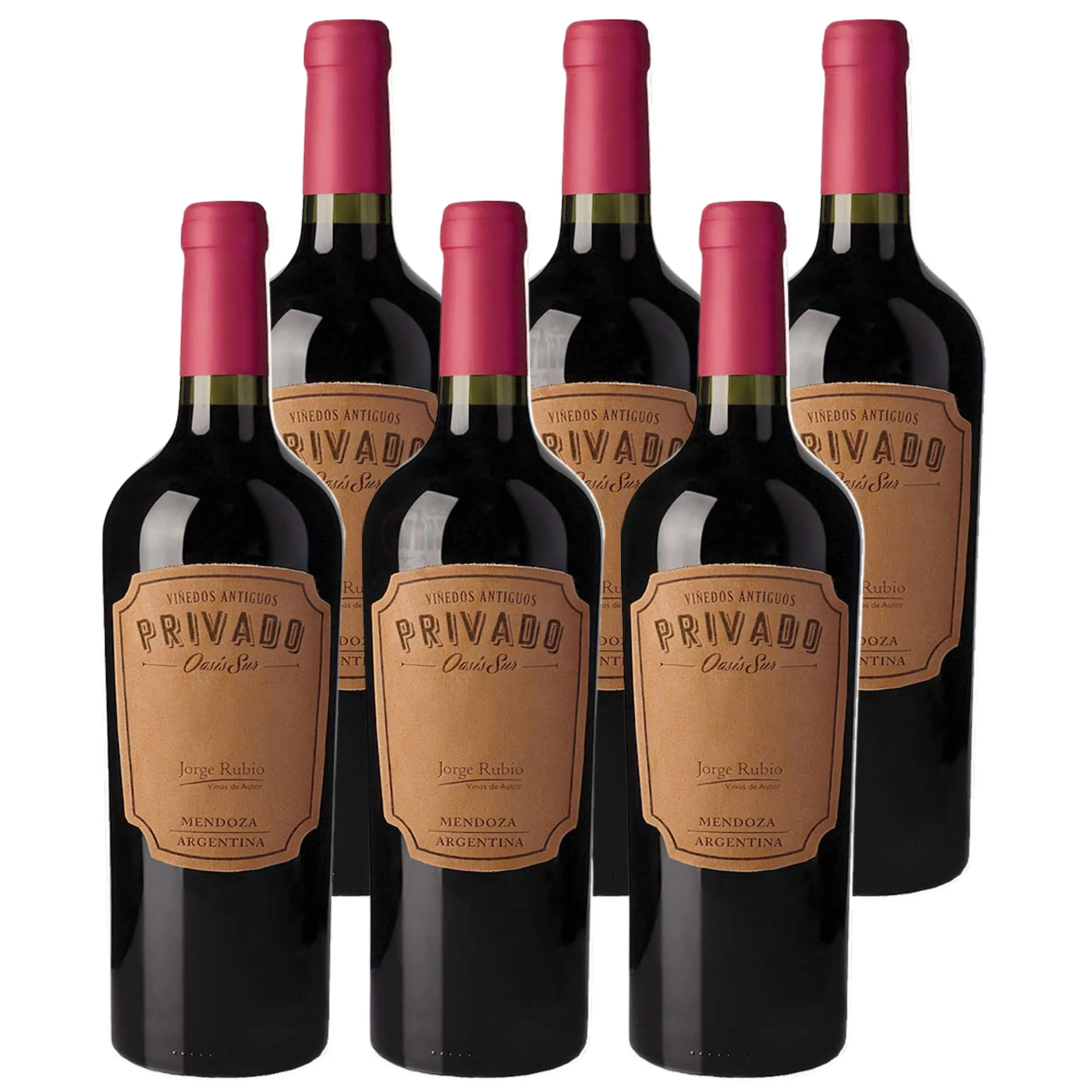 Jorge Rubio Privado Oasis Sur Malbec x6