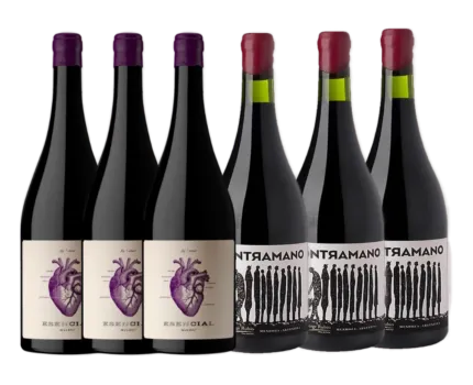 Mix Esencial Malbec + A Contramano Ancellotta