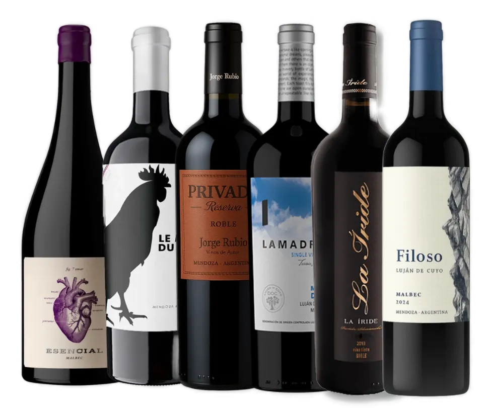 Mix Estilos de Malbec