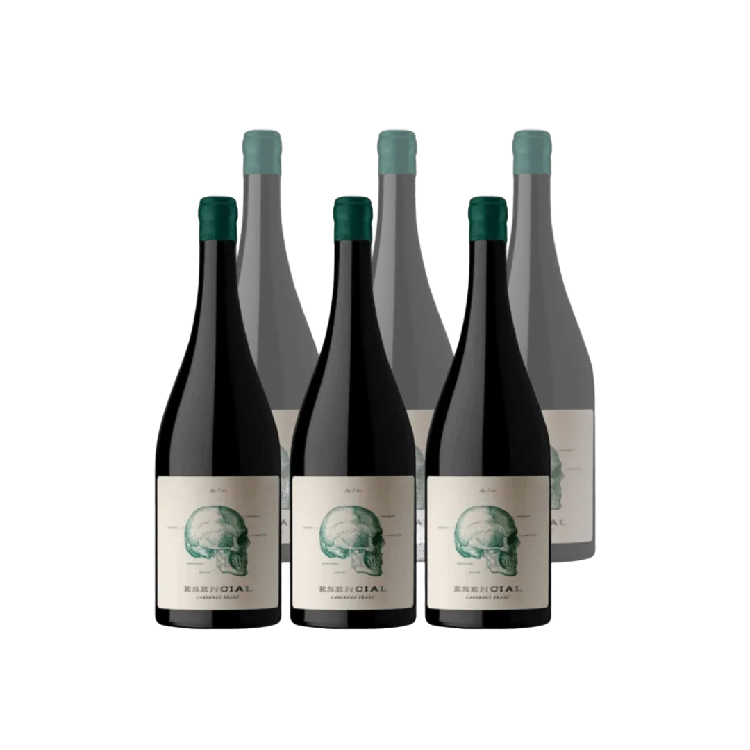 Viña Alta Esencial Cabernet Franc x6
