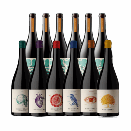 Viña Alta Esencial + Casual x12