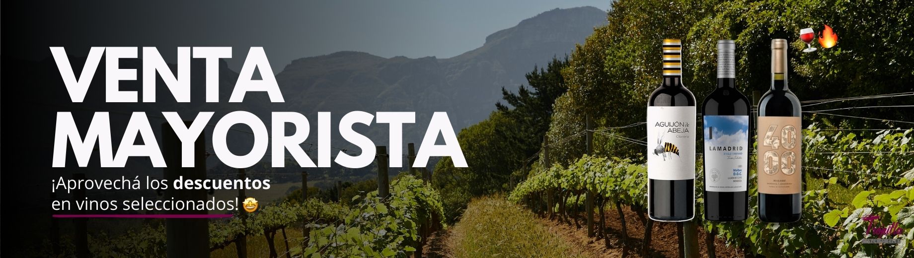 banner enero op1.jpg