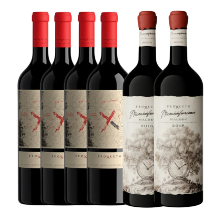 Mix Proyecto X Inicio y Microvinificaciones x6