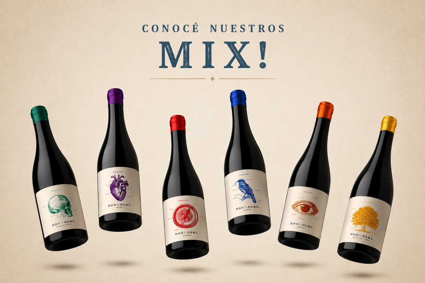 Conoce nuestros Mix