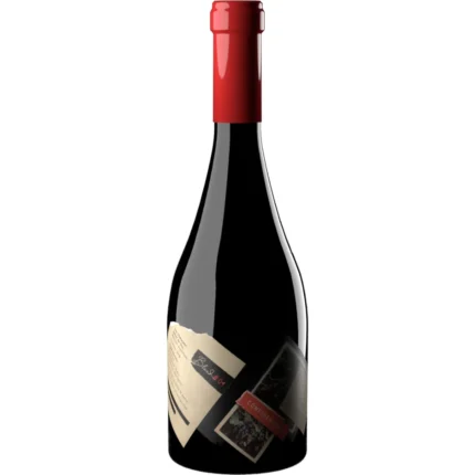 Bodega-Proyecto-X-Naranjo-Blend-04